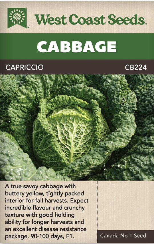 Cabbage Capriccio - West Coast Seeds