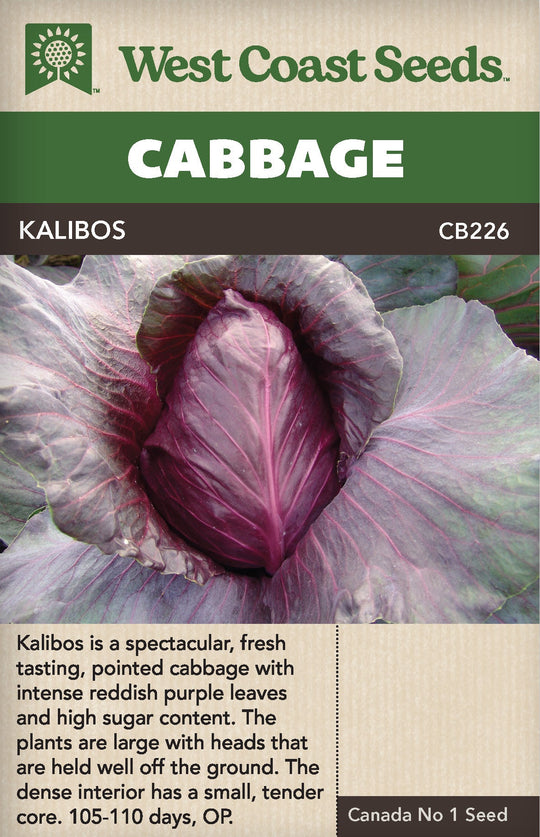 Cabbage Kalibos - West Coast Seeds