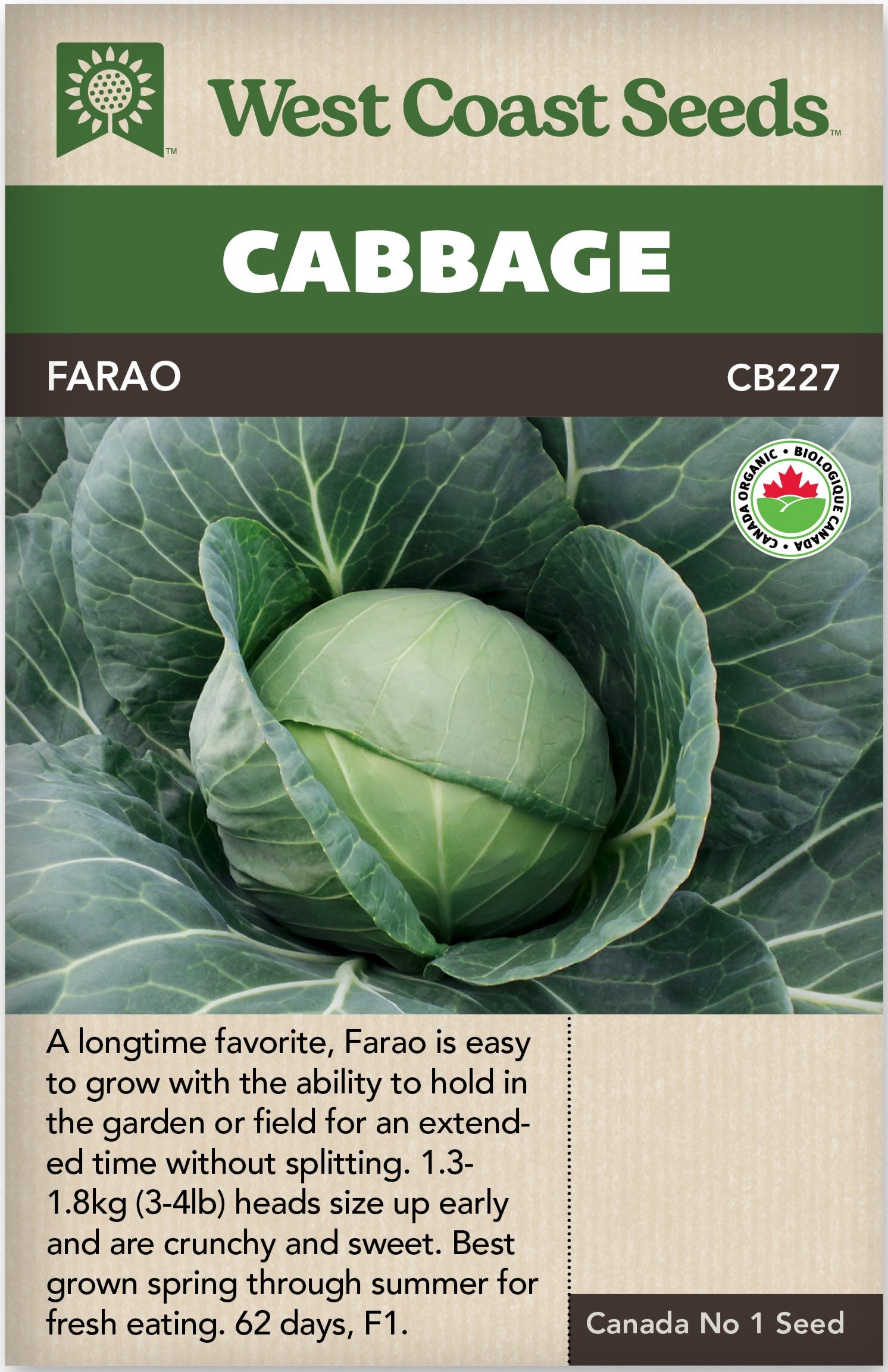 Cabbage Farao - West Coast Seeds