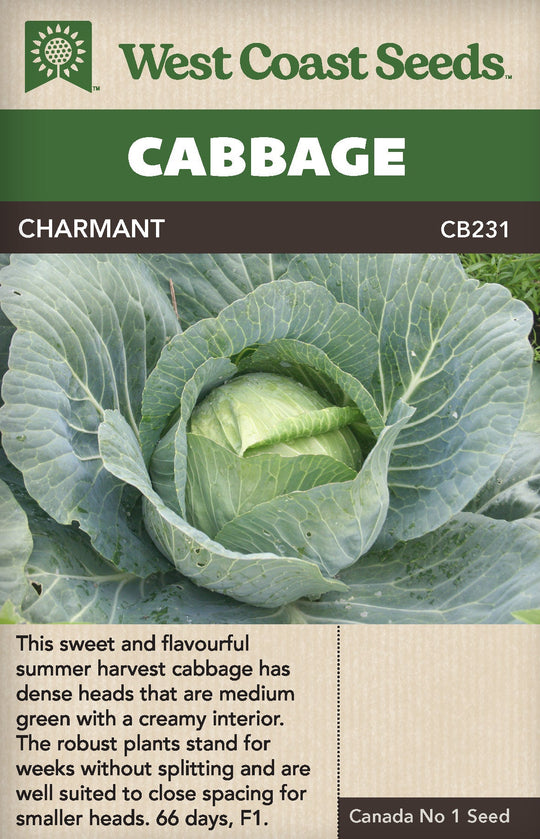 Cabbage Charmant - West Coast Seeds