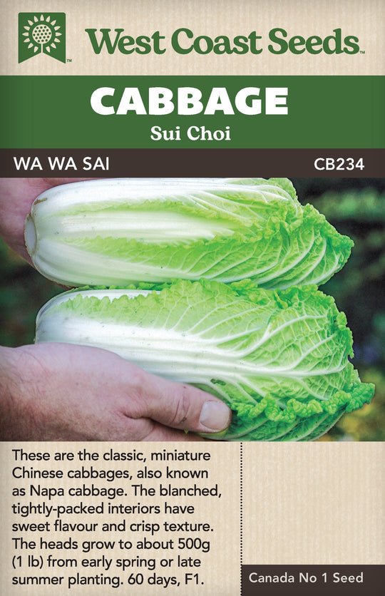 Cabbage Wa Wa Sai - West Coast Seeds