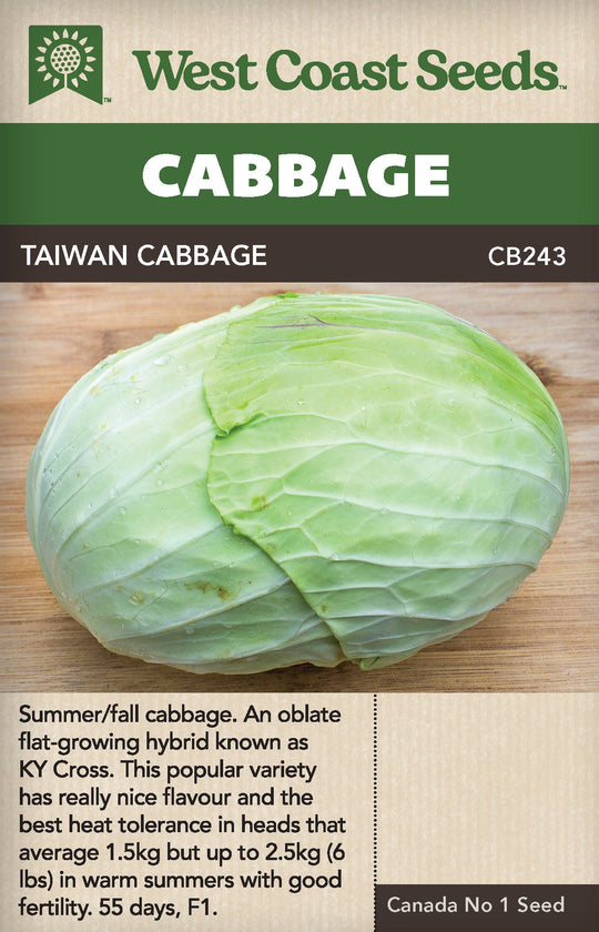 Cabbage Taiwan Cabbage - West Coast Seeds