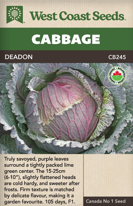 Organic Cabbage Deadon - West Coast Seeds