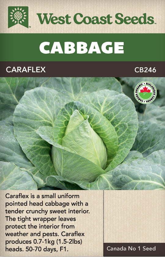 Organic Cabbage Caraflex - West Coast Seeds