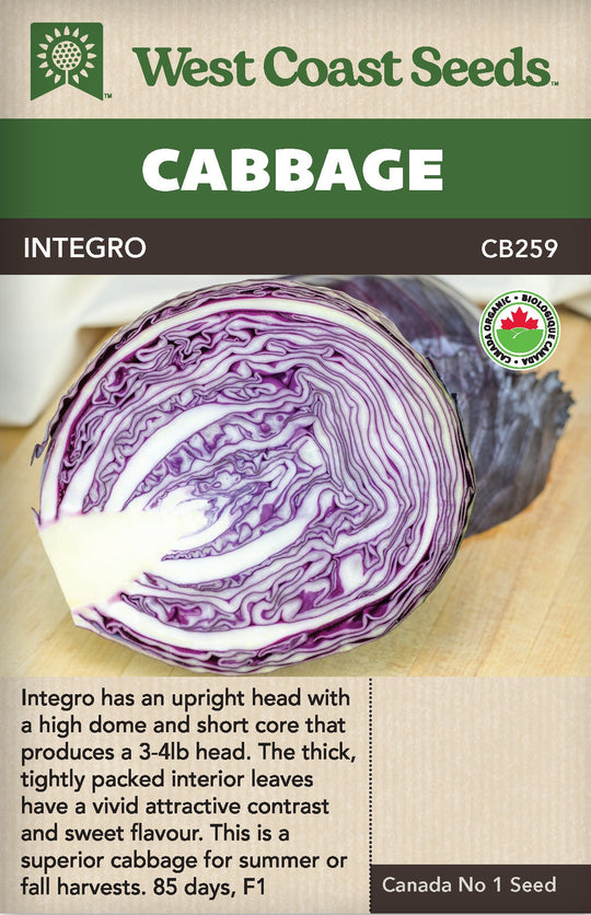 Organic Cabbage Integro - West Coast Seeds