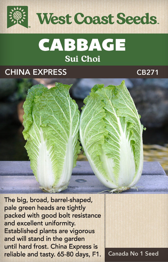 Cabbage Sui Choi China Express - West Coast Seeds