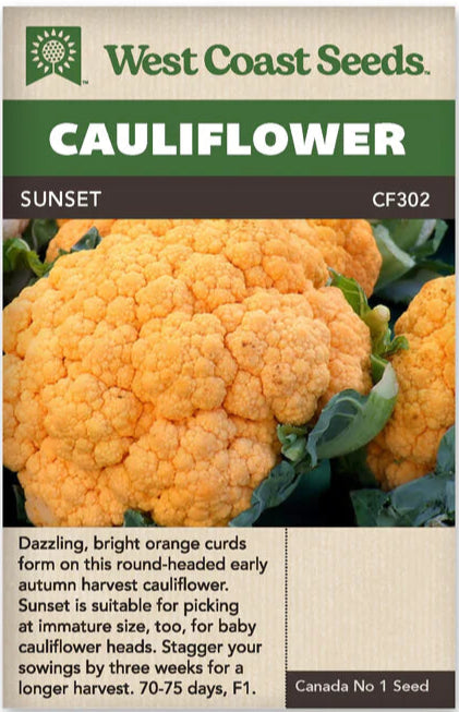 Cauliflower Sunset  - West Coast Seeds