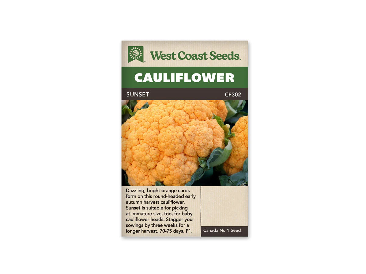 Cauliflower Sunset  - West Coast Seeds
