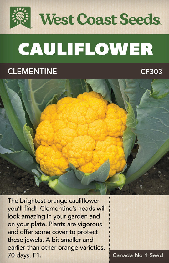 Cauliflower Clementine - West Coast Seeds