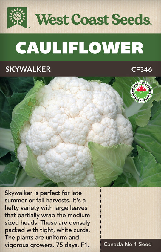 Organic Cauliflower Skywalker - West Coast Seeds