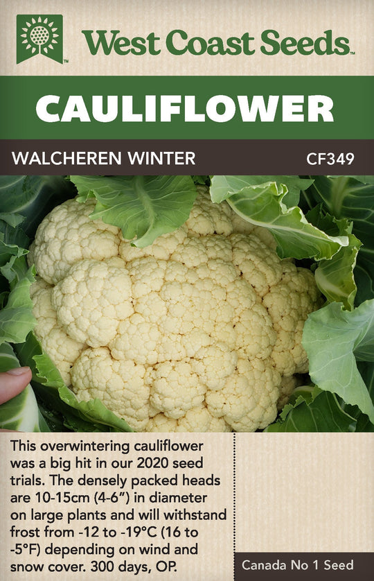 Cauliflower Walcheren Winter - West Coast Seeds