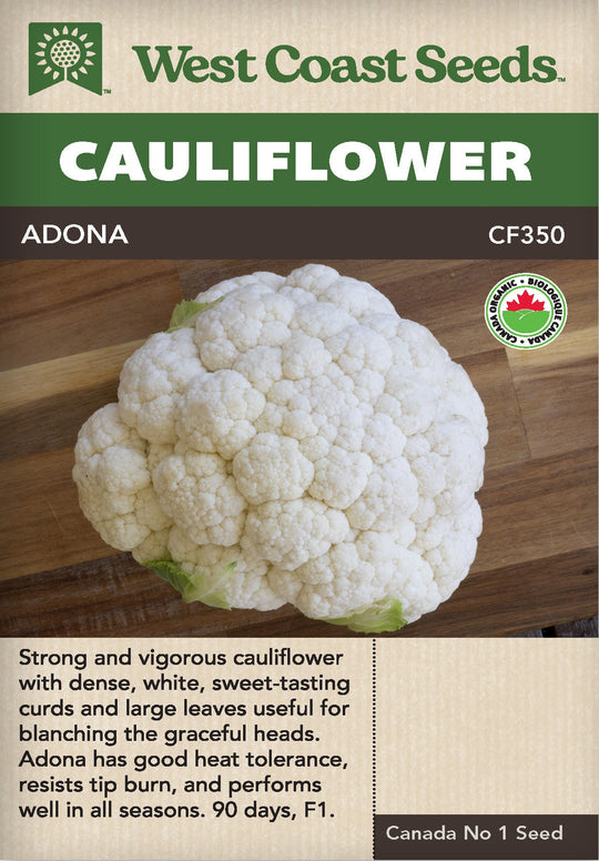 Organic Cauliflower Adona F1 - West Coast Seeds