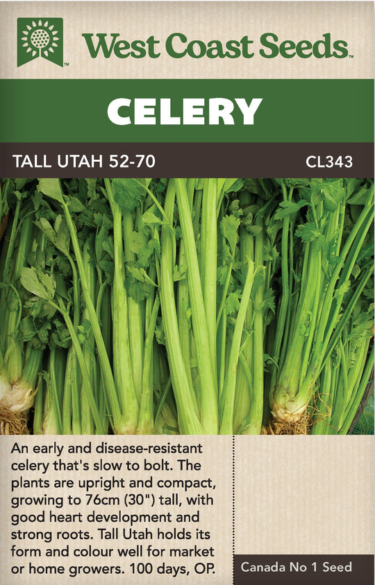 Celery Tall Utah 52-70 - West Coast Seeds