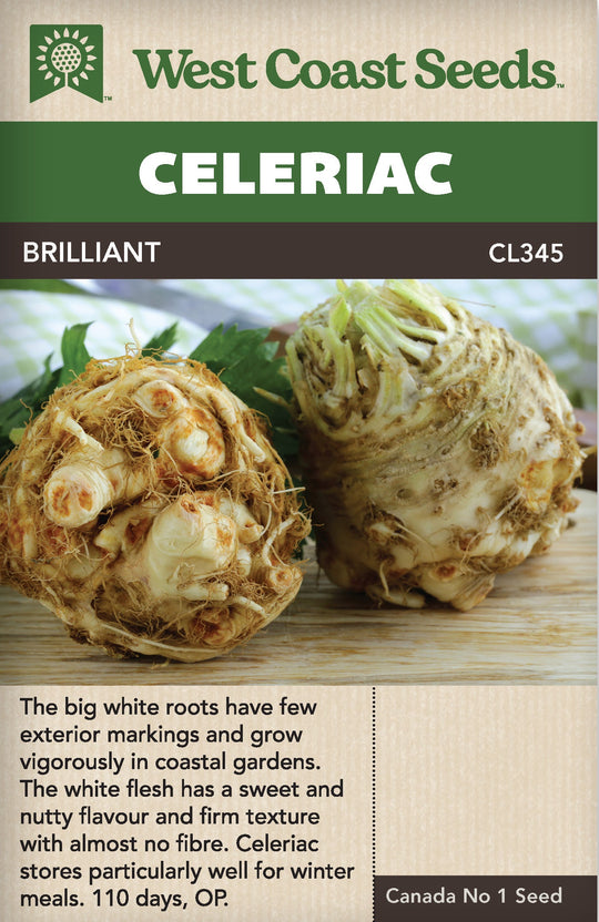 Celeriac Brilliant - West Coast Seeds