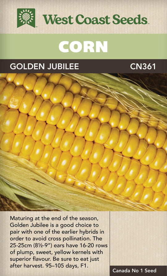 Corn Golden Jubilee - West Coast Seeds
