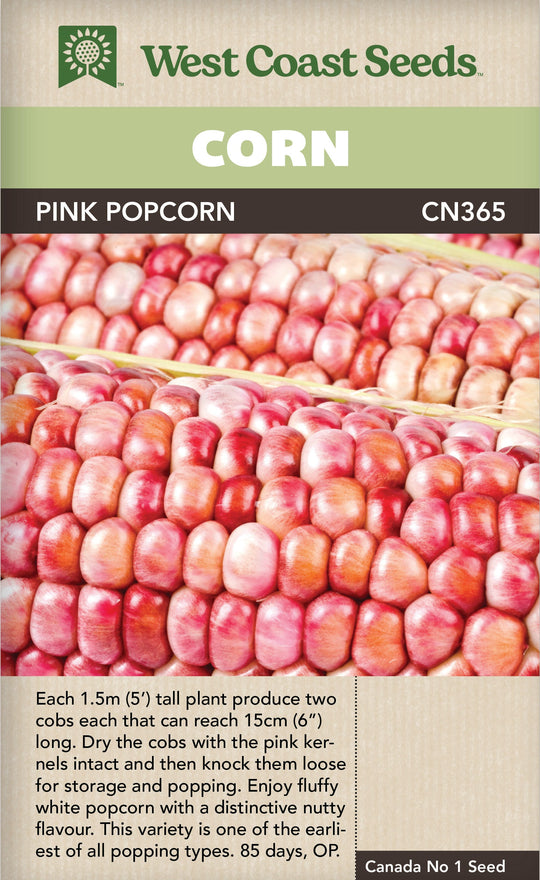 Corn Pink Popcorn - West Coast Seeds