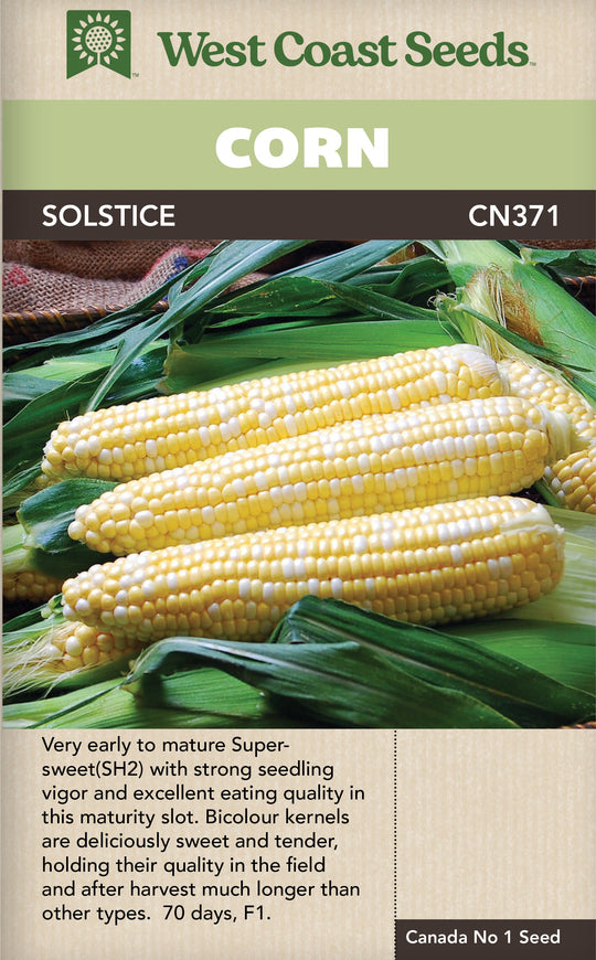 Corn Solstice - West Coast Seeds