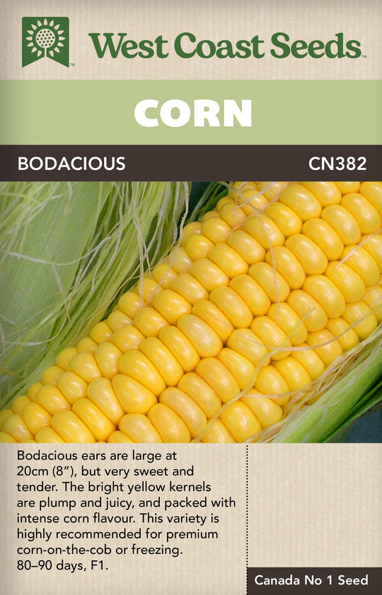 Corn Bodacious - West Coast Seeds