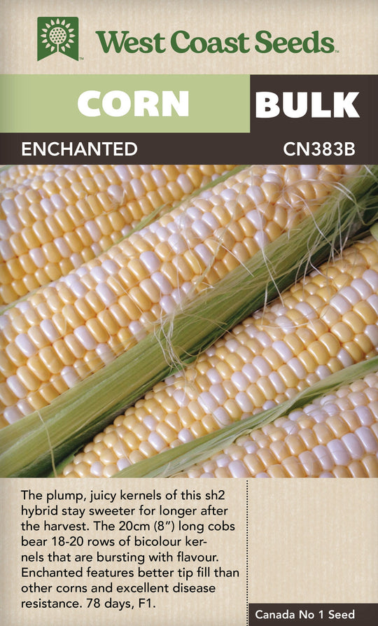 BULK Corn Enchanted- West Coast Seeds