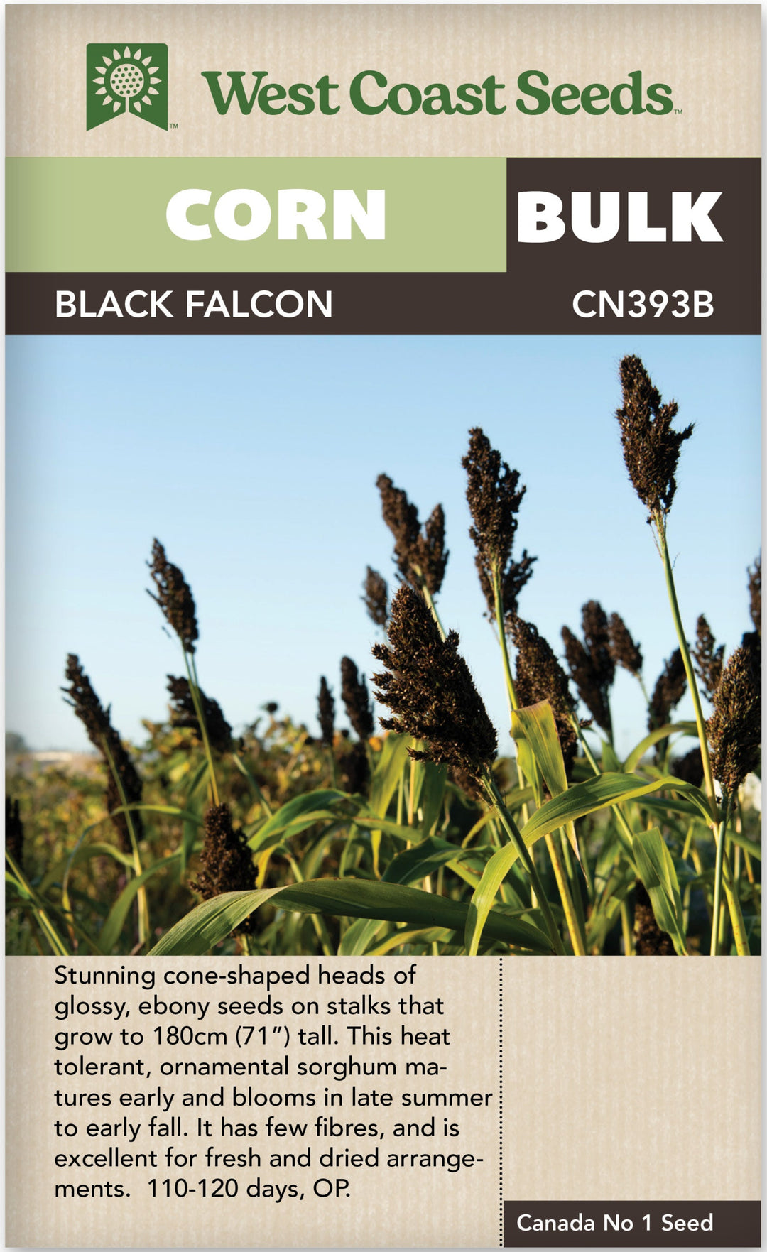 Corn Black Falcon Bulk - West Coast Seeds