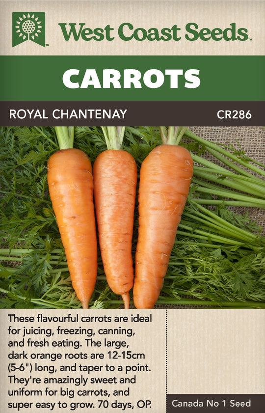Carrot Royal Chantenay - West Coast Seeds