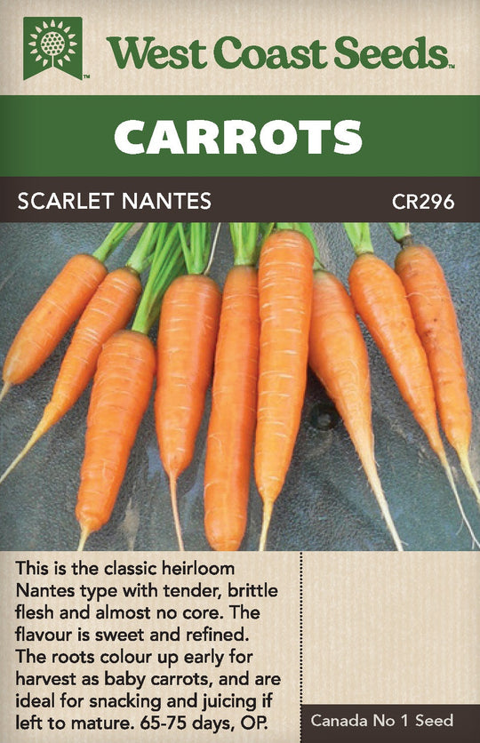 Carrot Scarlet Nantes - West Coast Seeds