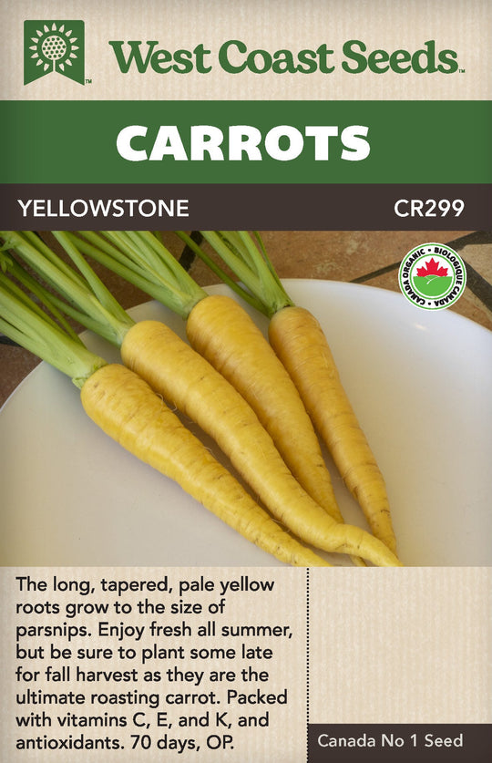 Organic Carrot Yellowstone - West Coast Seeds