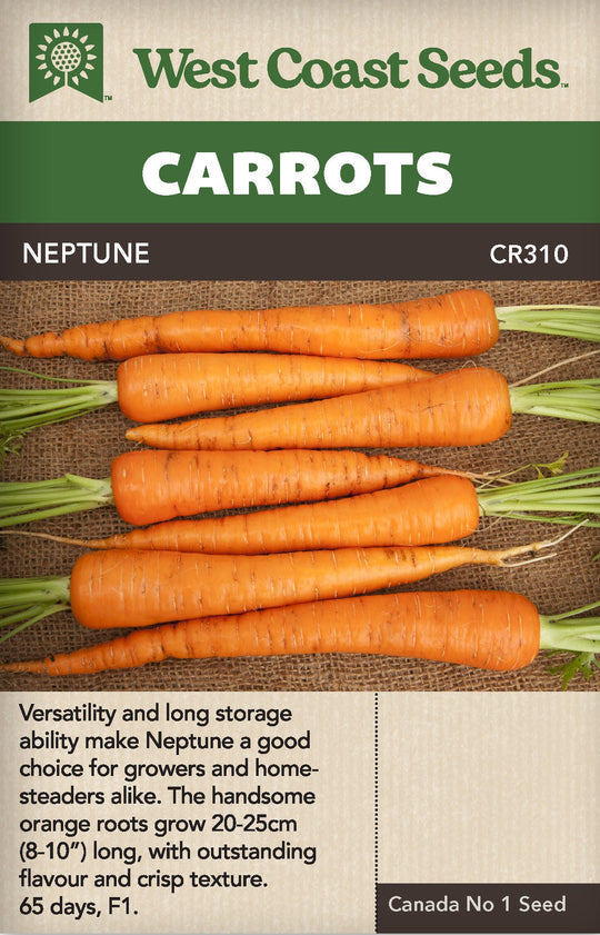 Carrot Neptune - West Coast Seeds