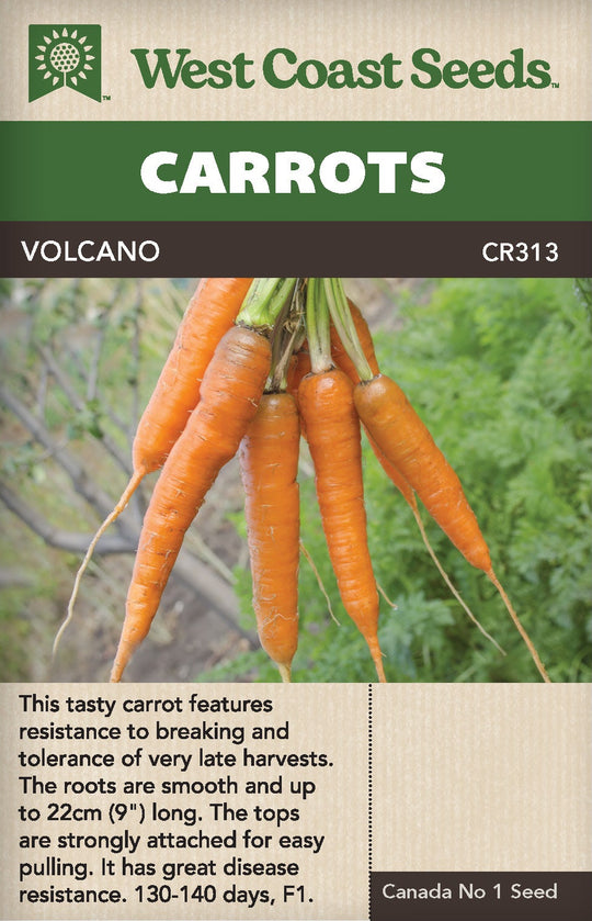 Carrot Volcano - West Coast Seeds