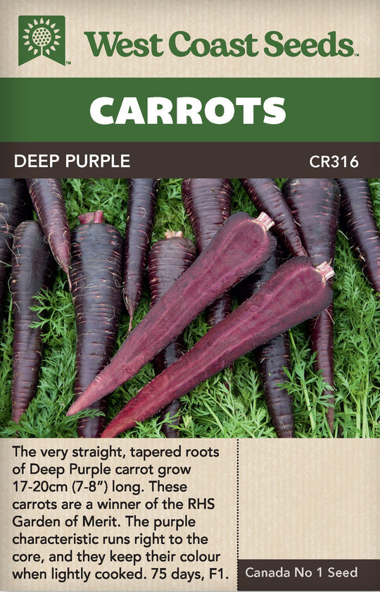 Carrot Deep Purple - West Coast Seeds