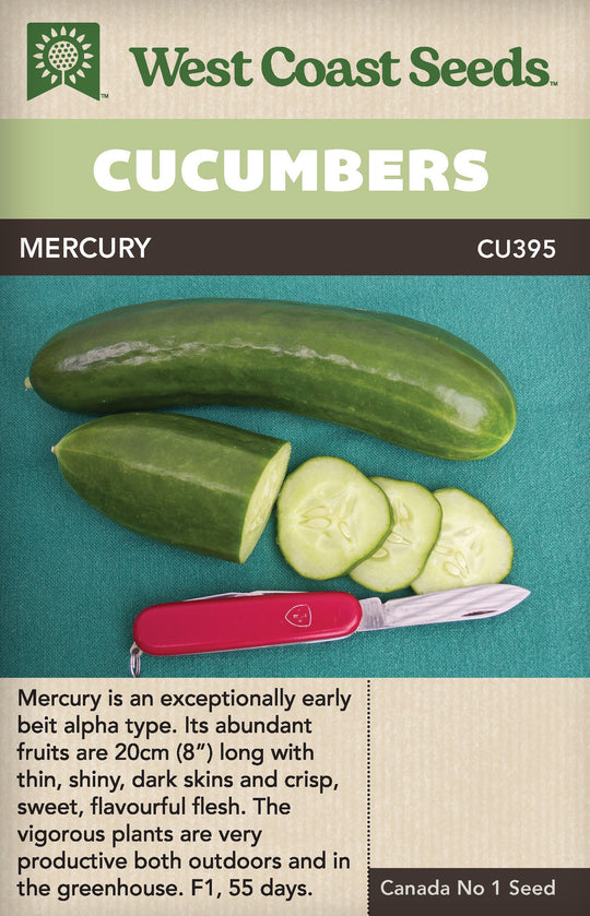 Cucumber Mercury - West Coast Seeds