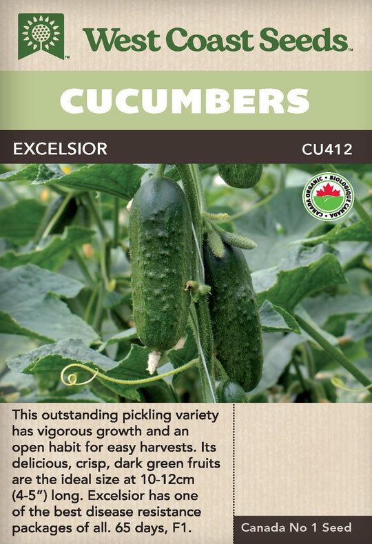 Organic Cucumbers Excelsior - West Coast Seeds