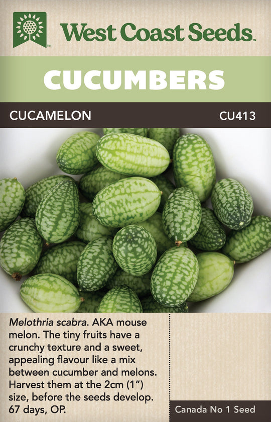 Cucumber Cucamelon - West Coast Seeds