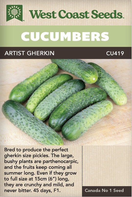 Cucumber Artist Gherkin - West Coast Seeds