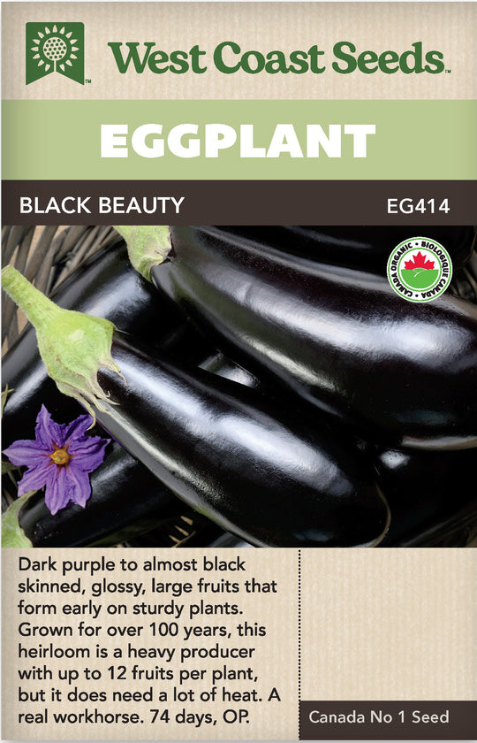 Organic Eggplant Black Beauty - West Coast Seeds