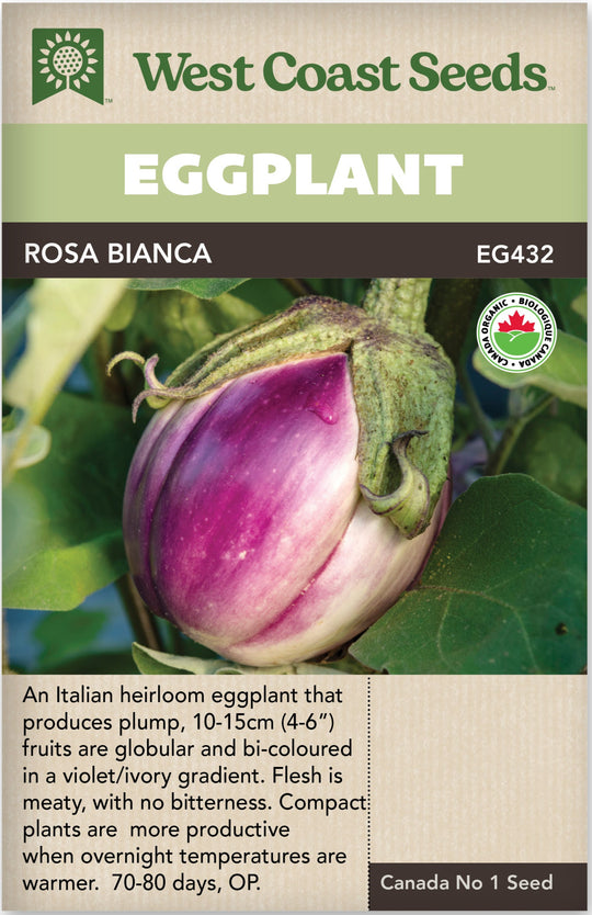 Organic Eggplant Rosa Bianca - West Coast Seeds