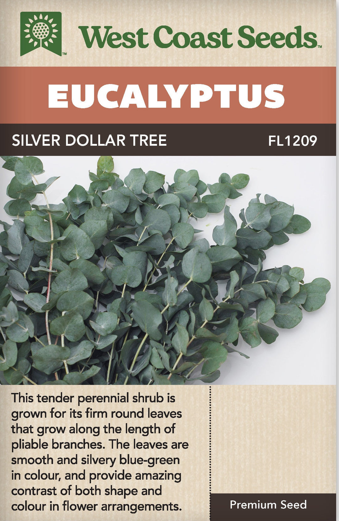 Eucalyptus Silver Dollar Tree - West Coast Seeds