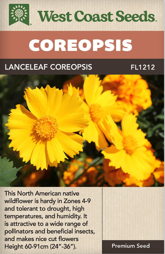 Coreopsis Lanceleaf - West Coast Seeds