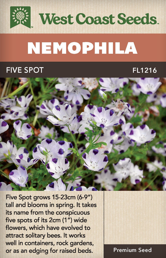 Nemophila Five Spot - West Coast Seeds