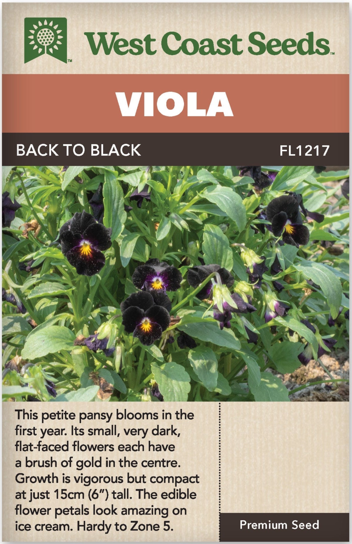 Viola Back to Black - West Coast Seeds