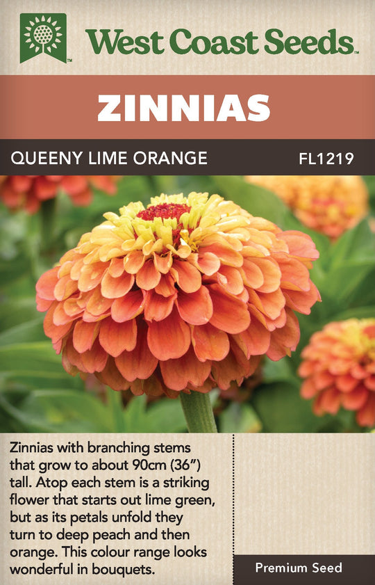 Zinnia Queeny Lime Orange - West Coast Seeds