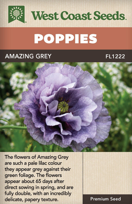 Poppy Amazing Grey - West Coast Seeds