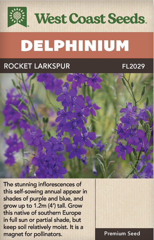 Delphinium Rocket Larkspur - West Coast Seeds