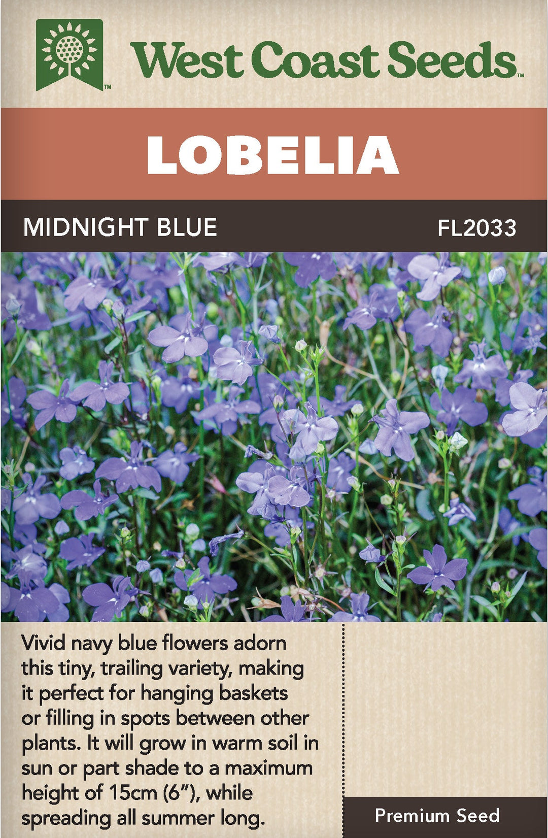 Lobelia Midnight Blue - West Coast Seeds