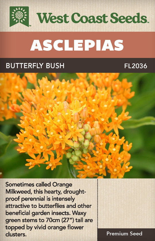 Asclepias Butterfly Bush - West Coast Seeds