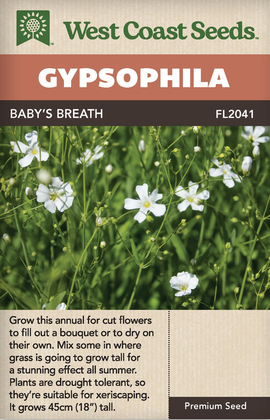 Gypsophila Baby's Breath - West Coast Seeds