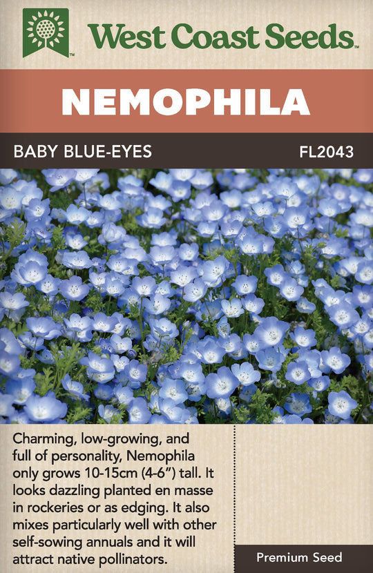 Nemophila Baby Blue Eyes - West Coast Seeds