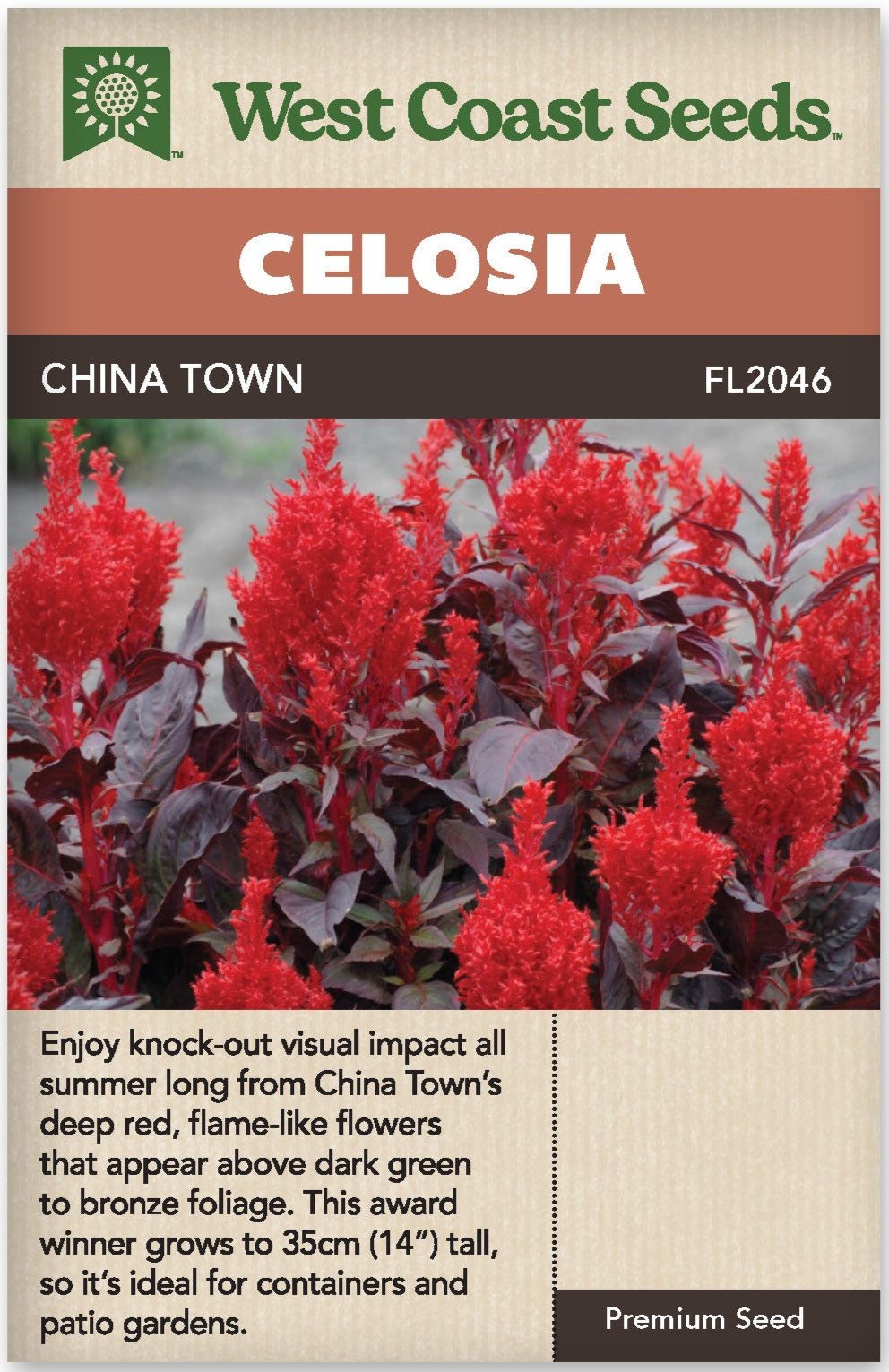 Celosia China Town - West Coast Seeds