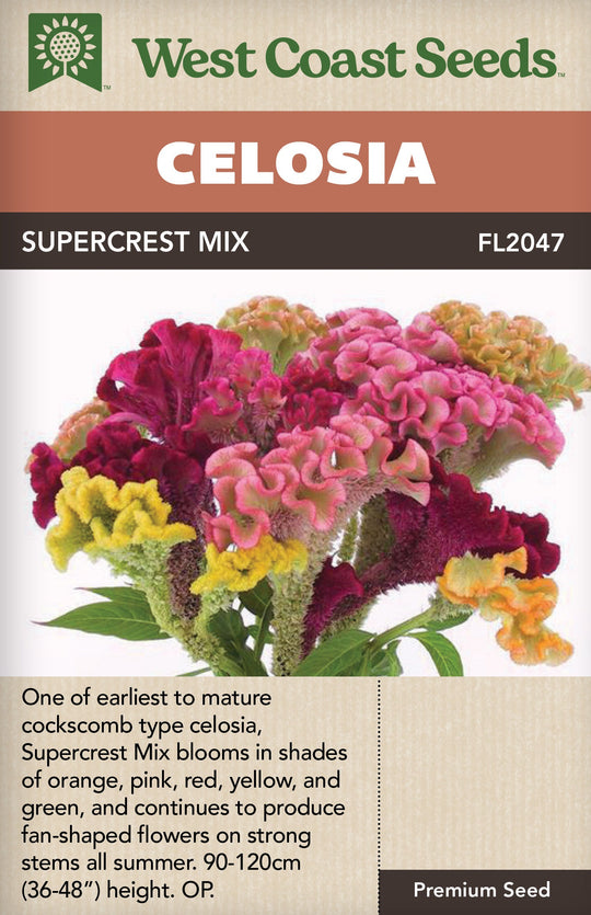 Celosia Supercrest Mix - West Coast Seeds
