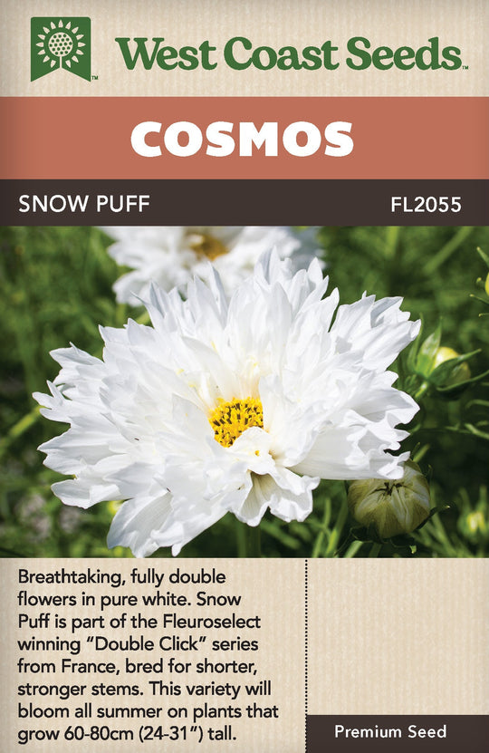 Cosmos Double Click Snow Puff - West Coast Seeds